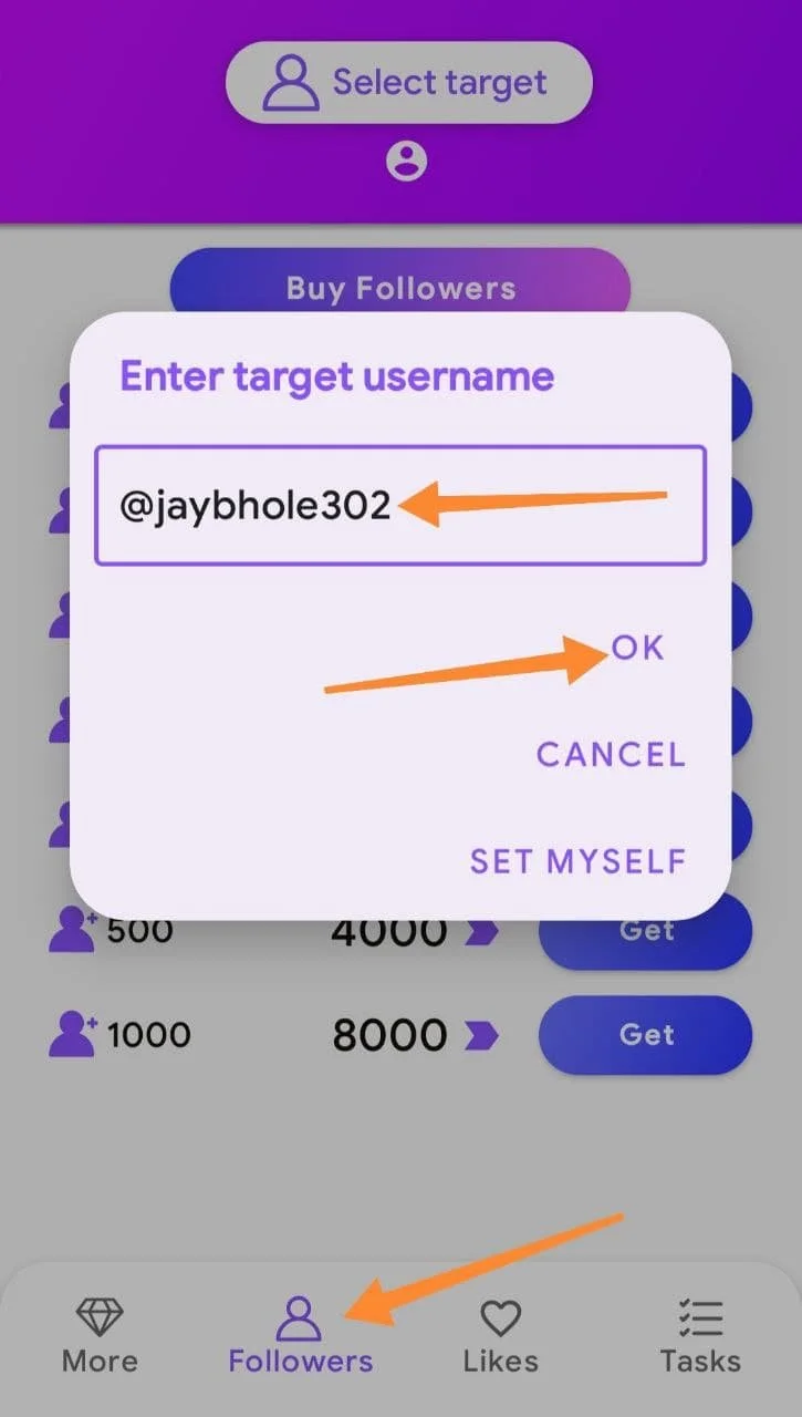 Enter Target Username
